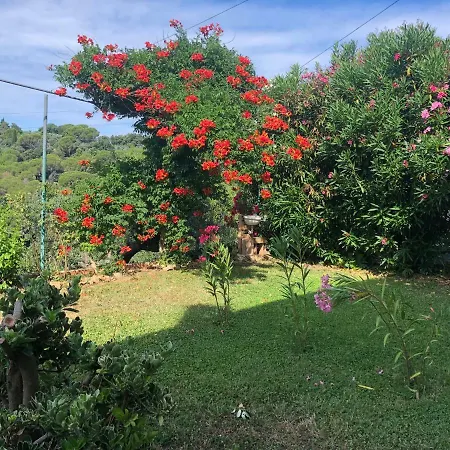 La Polveriera Farm stay Campiglia Marittima