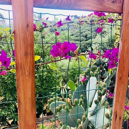 La Polveriera Farm stay *
